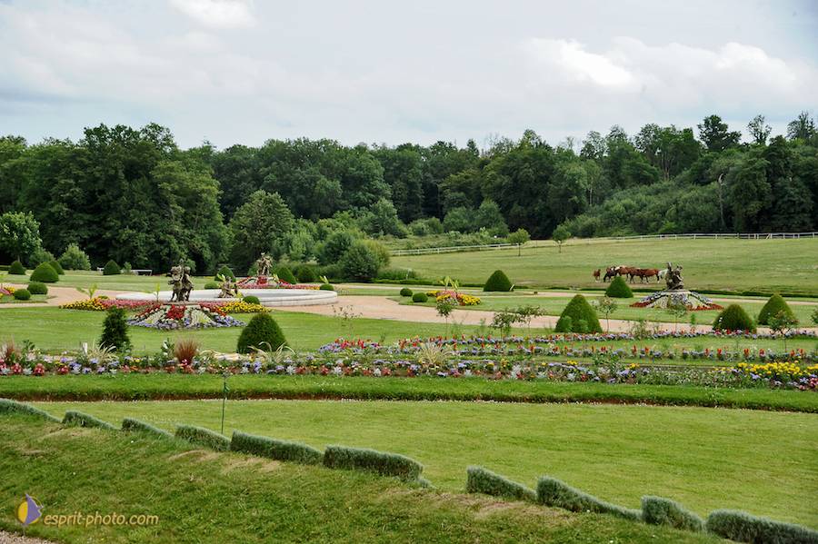 Nom de l'image : D30011831_1_(c)Norbert-JUNG — Description :